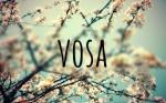 vosa123